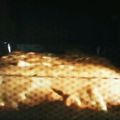 TMM_com's cooksnap of when they made 簡単♪りんごの天板ケーキ.