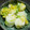 みゆキュン's cooksnap of when they made 簡単 白菜の漬物.