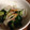 クックZ8J4H4☆'s cooksnap of when they made 簡単！きゅうりとちくわの生姜醤油和え.