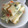 ♡綾♡'s cooksnap of when they made 見た目も涼しげ☆秋田のサラダ寒天♪.