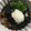 takoyuma's cooksnap of when they made なすの揚げびたし.