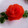ともみ⭐️'s cooksnap of when they made トマトの皮の薔薇飾り.