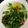 kijuhyt's cooksnap of when they made 菜の花の辛子和え.