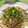 Ｍinto's cooksnap of when they made ☆塩焼きそば☆.