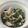 さとうちょび's cooksnap of when they made さっぱり春菊とツナの梅肉和え.