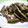 J・0505's cooksnap of when they made 茄子としめじのしょうが焼き.