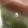 まっちゃぷりん♪'s cooksnap of when they made ひな祭り＊人気のミルク味で菱形寒天＊.