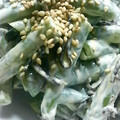 みっぺぴ's cooksnap of when they made いんげんのオイマヨ和え♫♬.
