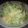 あいＩ's cooksnap of when they made 基本の玉子ディップ。玉子とパセリとマヨ.