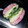 アルトミラ's cooksnap of when they made 『おひなまつりのひしもち風』おにぎらず.