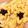 そどみ♪'s cooksnap of when they made 同じ生地で2種♪あんまん＆揚げあんパン★.