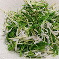 °＊リカぽん＊°'s cooksnap of when they made ＊おつまみに＊水菜とじゃこの和え物＊.