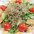 ちやんっ's cooksnap of when they made 水菜とじゃこのさっぱりサラダ.