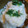 うらら＊そら's cooksnap of when they made 5分で簡単！つるっととろろご飯♬.