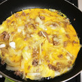 ひのひのひの's cooksnap of when they made 息子が大好きな☆ひき肉と玉ねぎの卵とじ.
