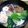 マカロニ公爵's cooksnap of when they made あさりのお吸い物.