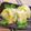 tiha's cooksnap of when they made 簡単！ゼラチンサラダ.
