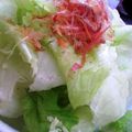 ユーロン's cooksnap of when they made レタスとおかかのレモン醤油和え.