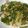 KY328's cooksnap of when they made レンジで簡単！★鱈のネギだれ蒸し★.