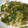 KY328's cooksnap of when they made レンジで簡単！★鱈のネギだれ蒸し★.