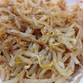 bechi＊'s cooksnap of when they made モヤシの簡単ピリ辛ナムル風.