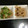 クック1AIE2J☆'s cooksnap of when they made 安い！早い！旨い！鶏皮焼き.