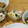 まみたんす's cooksnap of when they made ☆かまぼこ＆きゅうり＆チーズ☆わさびマヨ.