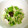 ももちゃんパンダ's cooksnap of when they made とっても簡単☆かいわれ大根の和え物.