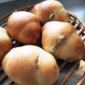 papico97's cooksnap of when they made ホシノ天然酵母のふんわりロールパン.