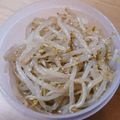 yukko218's cooksnap of when they made 常備菜★もやしの胡麻ナムル.