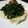 ladyamo's cooksnap of when they made マッシュポテトはこれ一番.