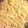kotaro0329's cooksnap of when they made ダイソーアンチョビきのこパスタ.
