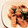 クックAKA9I8☆'s cooksnap of when they made 豚肉と小松菜のゴマ炒め.