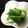 カチャーシー's cooksnap of when they made 簡単小松菜のおひたし.