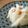 しまんちゅ44's cooksnap of when they made くせになる！白菜の甘酢漬・ラーパーツァイ.