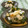 赤い電話's cooksnap of when they made ワカメのみぞれ和え.