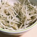 あさここなっつ's cooksnap of when they made 3分で簡単！！もやしナムル！.