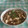 RiKo122's cooksnap of when they made ミックスきのこと野菜のオイスター醤油炒め.