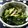 クックQXNV18☆'s cooksnap of when they made 小松菜とツナ缶deピリ辛炒め煮♪.