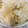 ふわニャンコ　's cooksnap of when they made あさりの炊き込み御飯.