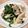 ゆきまるぞう's cooksnap of when they made 筍•あすっこ•豚肉炒め.