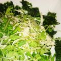 れおんトーマス's cooksnap of when they made 韓国風☆白菜サラダ.