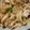 SOU☆ds250's cooksnap of when they made 簡単★大人のネギたっぷりキノコ炒め.