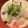 クック47DHBZ☆'s cooksnap of when they made ルーを楽しむ☆濃厚クリームシチュー☆.