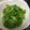 muumi☆'s cooksnap of when they made 大好きなパクチーの食べ方.