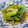 しゅんぺいのママ's cooksnap of when they made ＊簡単すぎる＊青菜の煮びたし.
