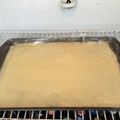 アラスカ人妻's cooksnap of when they made Simple♡基本の型抜きクッキー♪.