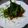 やまここ's cooksnap of when they made まぐろの胡麻漬け.