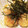めるしし's cooksnap of when they made ５分で簡単！長芋のチーズバター焼き♪.