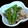 arow's cooksnap of when they made 材料2種で、いんげんと豚肉の炒め物.